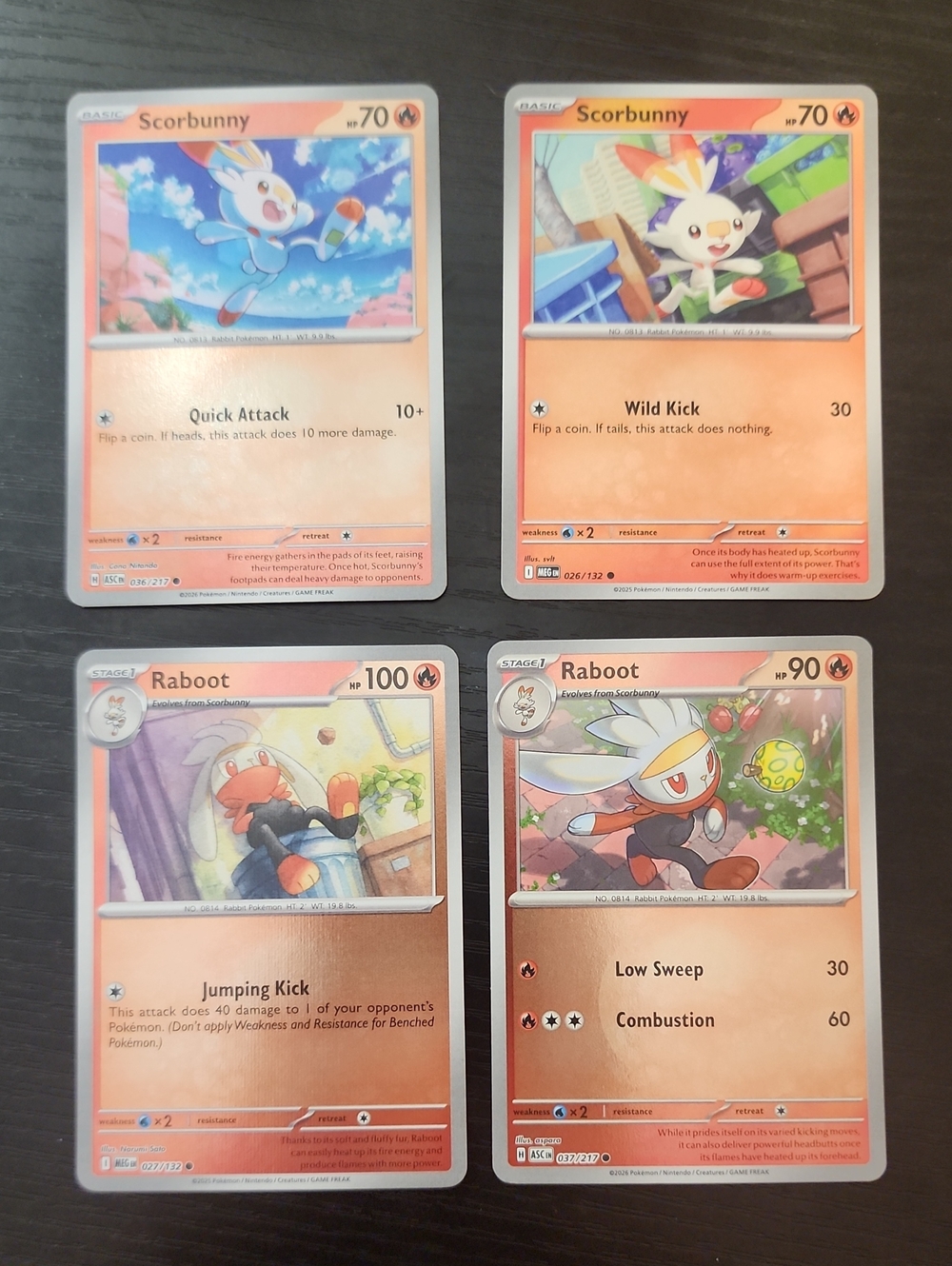 Scorbunny & Raboot Card Lot